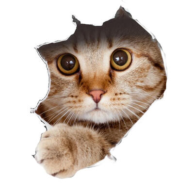 

Cute Cat Dog 3D Waterproof Self-Adhesive Wall Stickers DIY Toilet Decals