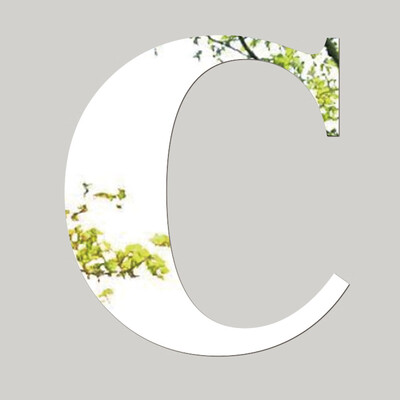 

〖Follure〗Mirror Wall Sticker 26 Letters DIY Art Mural Home Decor Acrylic Decals Silver A