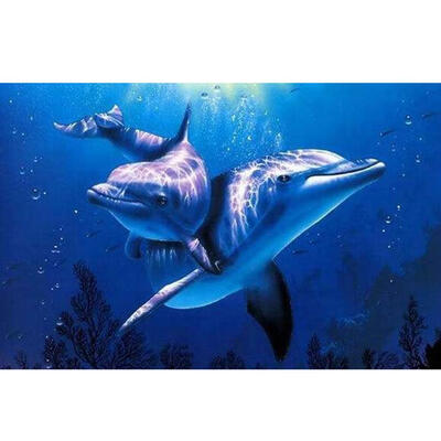 

5D DIY Dolphins Abstract Digital Oil Paint By Numbers Kits Wall Art Picture