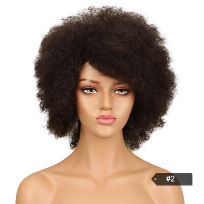 

Noble Afro Kinky Curly Wig Brazilian Human Hair Wigs For Black Women Remy Non Lace Front Wig Free Shipping