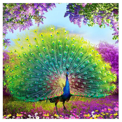

DIY Diamond Embroidery Peacock Painting for Home Decoration