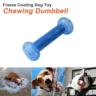 

Freeze Cooling Teether Dog Toy Chewing Dumbbell Teething Snack Frozen Summer Training Toy for Dogs Puppy