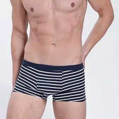 

Mens Boy Breathable Underwear Boxer Briefs Shorts Bulge Pouch Underpants XL3XL