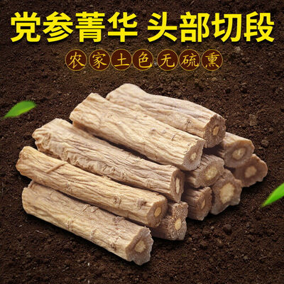 

Premium Organic Dang Shen Codonopsis Pilosula Bellflower Root China Ginseng Herb