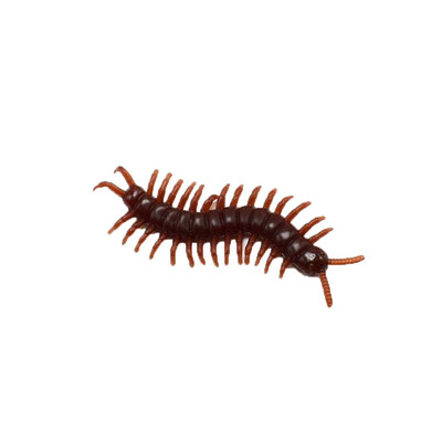 

Tailored April Fools Day Toys Simulation Cockroach Tricky Joke Scary Insects 10 Pcs