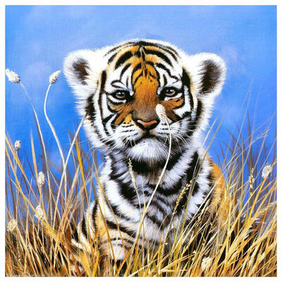 

5D DIY Full Drill Diamond Painting Small Tiger Cross Stitch Embroidery Kits