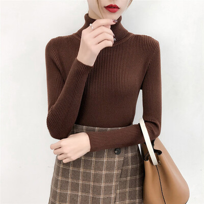 

Tailored Autumn Winter Sweater Women Long Sleeve Pullover Turtleneck knitting Basic Tops