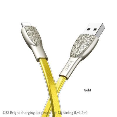 

Lightning Cable 2-in-1 Charging And Syncing Cord For IPHONE-12m