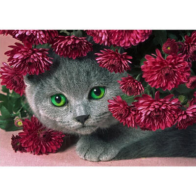 

5D DIY Full Drill Diamond Painting Cat Flowers Cross Stitch Embroidery Kits