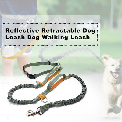 

Pet Leashes Dog Leash Reflective Retractable Dog Walking Leash Dual Bungees with Waist Belt Dog Training Leash