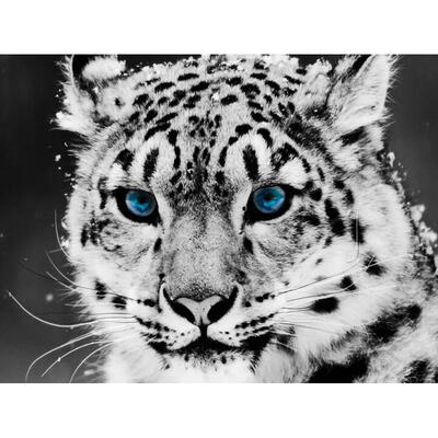 

5D DIY Diamond Painting Leopard Cross Stitch Embroidery Rhinestones Mosaic