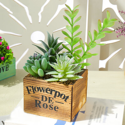 

Succulent Plants Potted Creative Ornaments Simulation Bonsai For Room Decor Pro