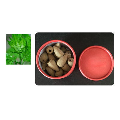 

〖Follure〗25pcs Smoke Tower Cones Bullet Backflow Incense Hollow Cone