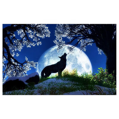 

DIY Diamond Painting Sets Different Shape Diamond Drawing Cross Stitch Wall Decorative Color Cat 30x25cm
