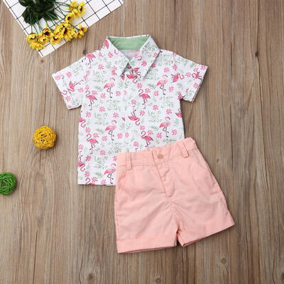 

Summer Toddler Baby Kids Boy Gentleman Outfits Clothes 2PCS Set