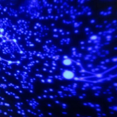 

〖Follure〗Romantic Planetarium Star Projector Cosmos Light Night Sky Lamp