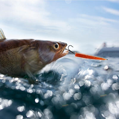 

Greensen 10pcs Elastic Worm Fishing Bait Soft Earthworm Maggot Lures Tackle with Fishy Smell