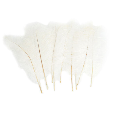 

Lots 10 Beauty Natural Ostrich Feathers 16"-18" Inch White Exquisite Home Decor