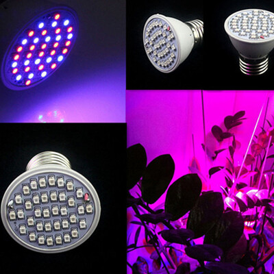 

〖Follure〗E27 36 Led Grow Light Hydroponic Lighting With Clip Plants Lamps For Flower Hydroponics System Indoor Garden Greenhouse