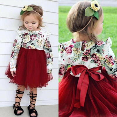 

US Newborn Kids Baby Girls Long Sleeve Flower Tulle Tutu Skirts Dresses Clothes