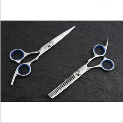 

Professional Hairdressing Scissors Hairdresser Hair Cutting Shear Sliver 6&quot New
