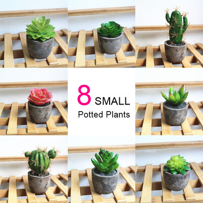 

Artificial Succulents Plant Garden Miniature Fake Cactus DIY Home Floral Decor