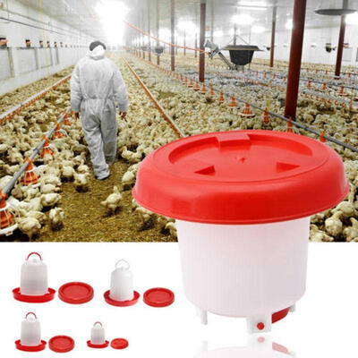 

Robust Plastic Chicken Quail Poultry Hen Drinker Food Feeder 15 25 4L D1