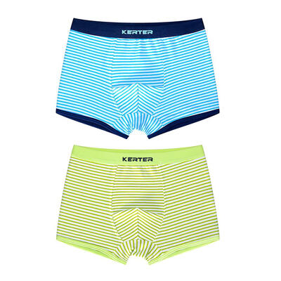 

2pcs Cute Boy Boxers Cotton Stripe Underpants Elastic Waist Briefs Shorts