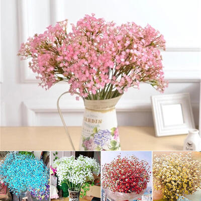 

Gypsophila seeds Rose Seeds world rare rainbow tulip bulbs seeds flower seeds Decor