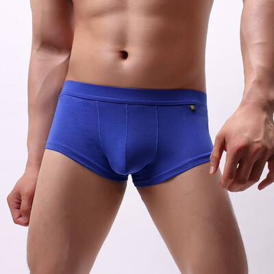 

Tailored Mens New Style Sexy Breathable Mesh Underwear Comfortable Large Size Underwear