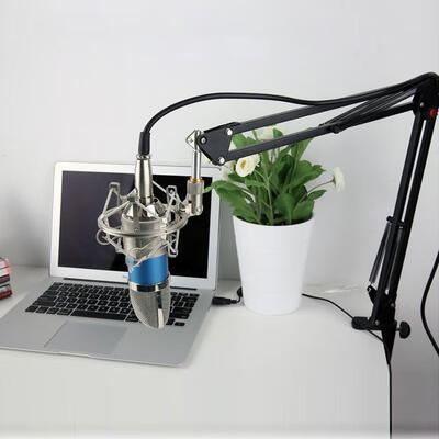 

Microphone Stand Live Cantilever Bracket Universal Microphone Arm Holder for Video Live