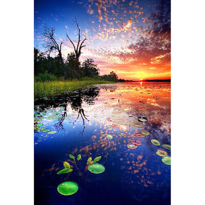 

Toponeto 5D Embroidery Paintings Rhinestone Pasted DIY Diamond Painting Cross Sti