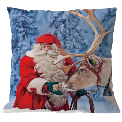

〖Follure〗Merry Christmas Pillow Cases Linen Sofa Cushion Cover Home Decor Pillow Core