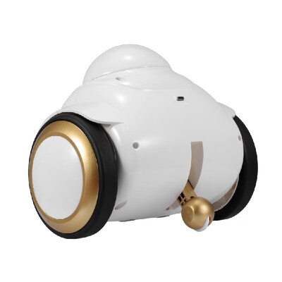 

R02 Robot Pet Camera Baby Monitor WiFi Camera Home Security 720P Camera Intelligent Interactive Robot for Kids Pets