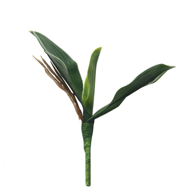 

〖Follure〗Phalaenopsis Leaf Orchid Artificial Flower Plant Wedding Decoration INS Wind