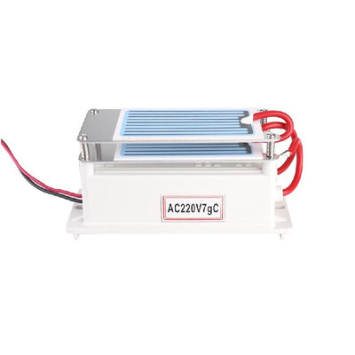 

Portable 7gh Ceramic Ozone Generator Double Integrated Plate Ozonizer Water Air Purifier For Chemical Factory