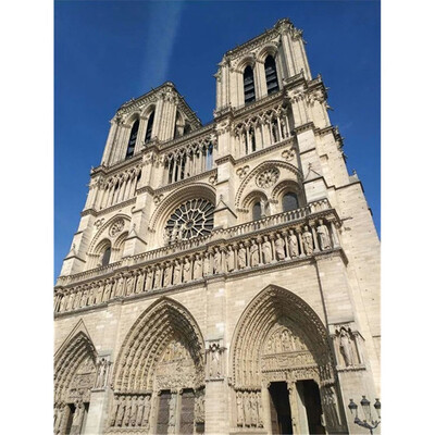 

Toponeto 5D DIY Diamond Painting Embroidery Round Diamond Home Decor Gift