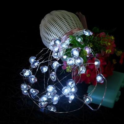 

〖Follure〗40LED Battery Power String Bendable Copper Wire String Christmas Light