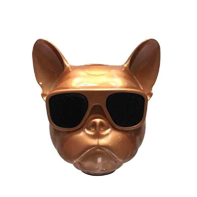 

Mini Wireless BT Speaker with FM Radio Call Music Receiver Gold