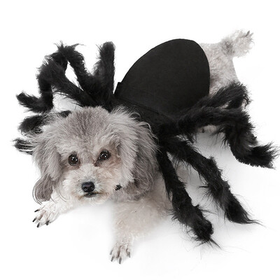 

Pet Halloween Costume Dog Cloak Bat Wings 8 Spider Party Cone Hat Bow Ties Dogs Cats for Puppy