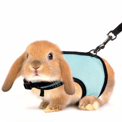 

Soft Rabbits Harness with Leash