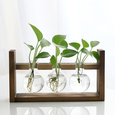 

Toponeto Creative Hydroponic Plant Transparent Vase Wooden Frame Coffee Shop Room Decor