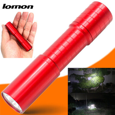 

Saidsome IPX-6 Waterproof life Rating LED Mini Outdoor Flashlight Lamp flashlight lamp