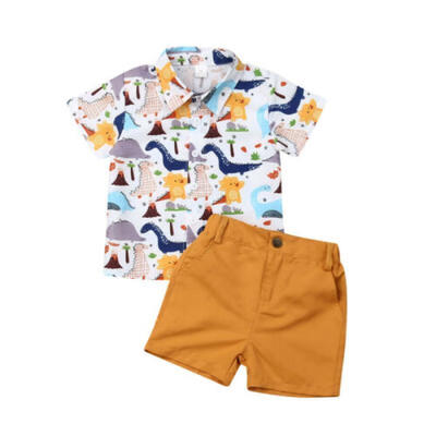 

Newborn Kids Baby Boys Summer Tops T-shirt Dinosaur Pants Shorts Outfits Clothes