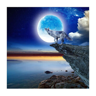 

5D DIY Full Drill Diamond Painting Moon Wolf Cross Stitch Embroidery Kit