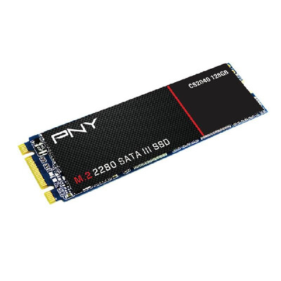 

PNY Solid State Disk SATA III SSD For Laptop Desktop CS2040 256GB
