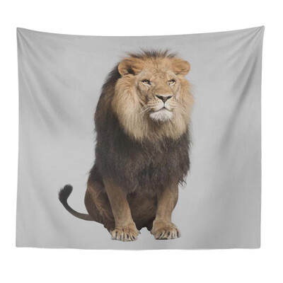 

Toponeto Cotton Linen Square Home Decorative Throw Pillow Case Sofa Waist Cushion Cover