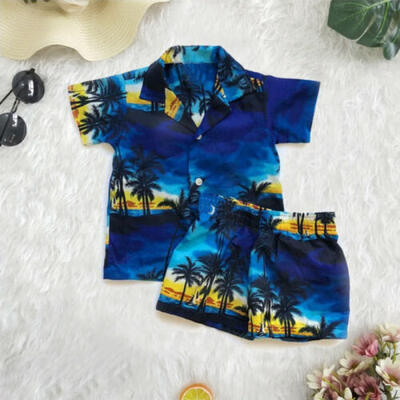 

Toddler Kid Baby Boy Clothes Outfit Set Hawaiian Beach T Shirt TopsShorts Pants