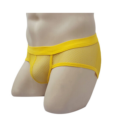 

Men Knickers Thongs Mesh Underwear Bulge Pouch Elastic Low Waist Triangle Briefs