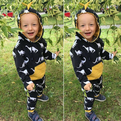 

US 2PCS Toddler Kids Baby Boys Hooded Outfits Set T Shirt TopsPants Clothes Set
